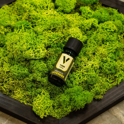 Vune Herbal Rosamary Essential Oil - Vune Essence